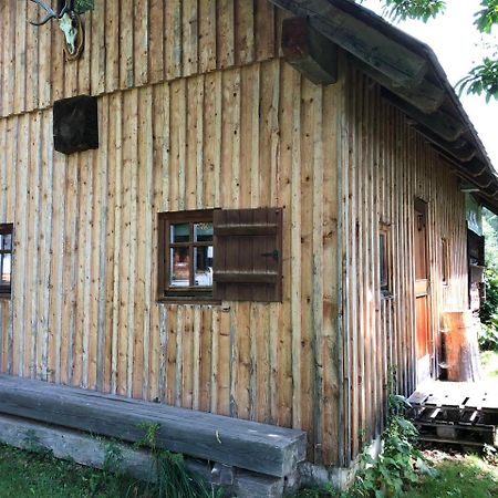 Waldheimathuette Villa Sankt Kathrein am Hauenstein Ngoại thất bức ảnh